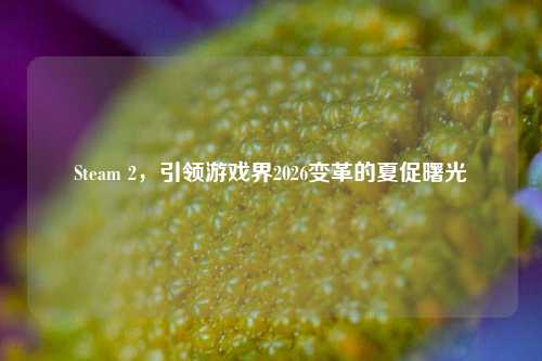 Steam 2,引领游戏界2026变革的夏促曙光