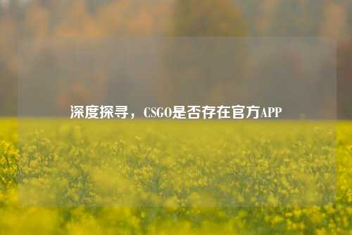 深度探寻,CSGO是否存在官方APP