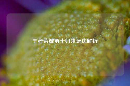 王者荣耀勇士归来玩法解析