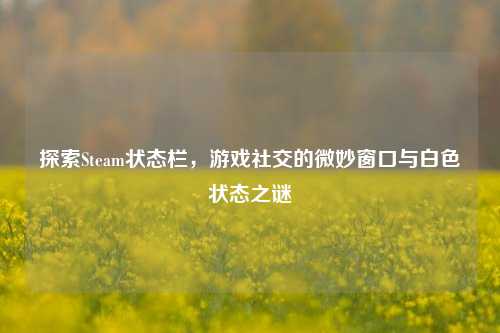 探索Steam状态栏,游戏社交的微妙窗口与白色状态之谜