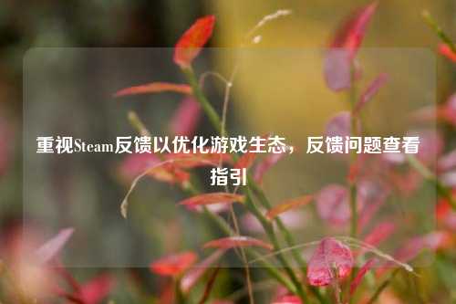 重视Steam反馈以优化游戏生态，反馈问题查看指引