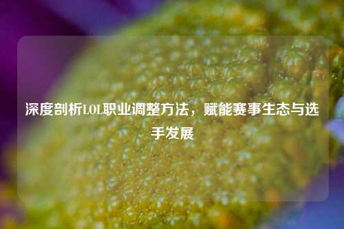 深度剖析LOL职业调整方法,赋能赛事生态与选手发展