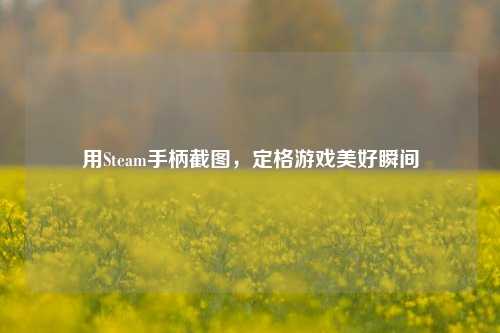 用Steam手柄截图，定格游戏美好瞬间