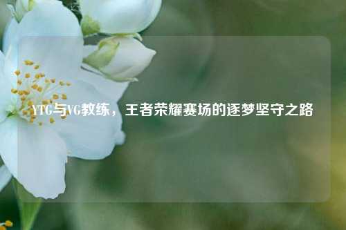YTG与VG教练，王者荣耀赛场的逐梦坚守之路