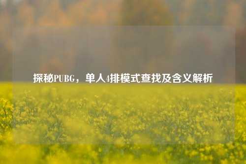 探秘PUBG，单人4排模式查找及含义解析