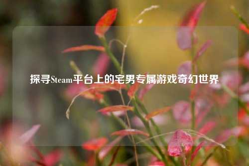 探寻Steam平台上的宅男专属游戏奇幻世界