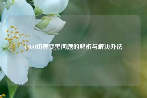 CSGO切屏变黑问题的解析与解决办法