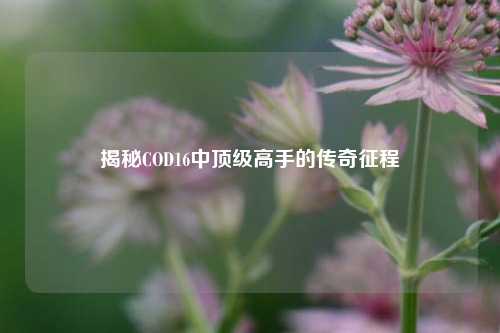 揭秘COD16中顶级高手的传奇征程