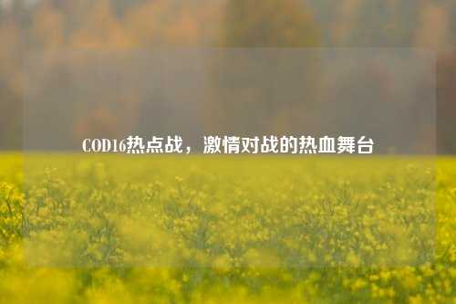COD16热点战，激情对战的热血舞台