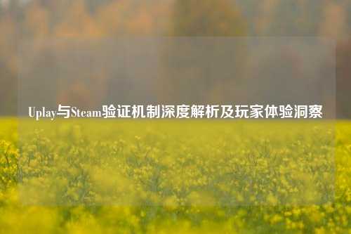 Uplay与Steam验证机制深度解析及玩家体验洞察