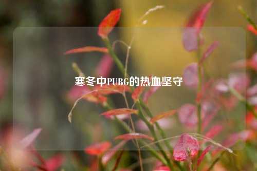 寒冬中PUBG的热血坚守