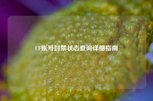 CF账号封禁状态查询详细指南