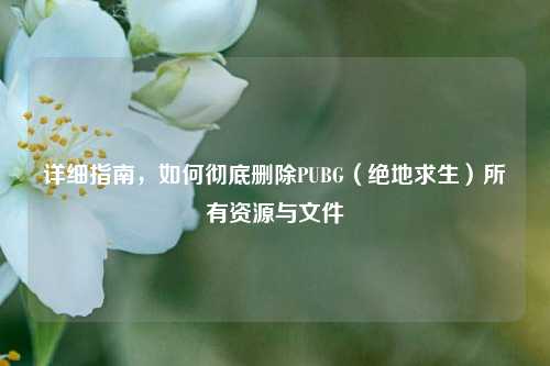 详细指南，如何彻底删除PUBG（绝地求生）所有资源与文件
