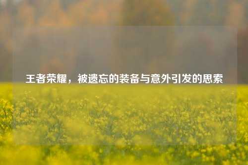 王者荣耀，被遗忘的装备与意外引发的思索