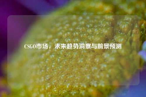 CSGO市场，未来趋势洞察与前景预测