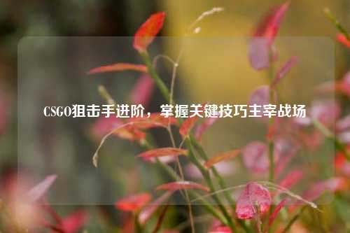 CSGO狙击手进阶，掌握关键技巧主宰战场