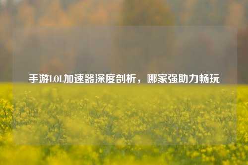 手游LOL加速器深度剖析，哪家强助力畅玩