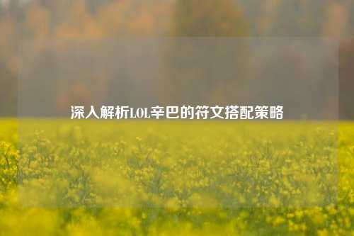 深入解析LOL辛巴的符文搭配策略