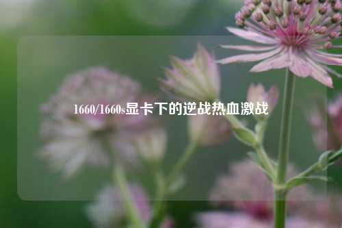 1660/1660s显卡下的逆战热血激战