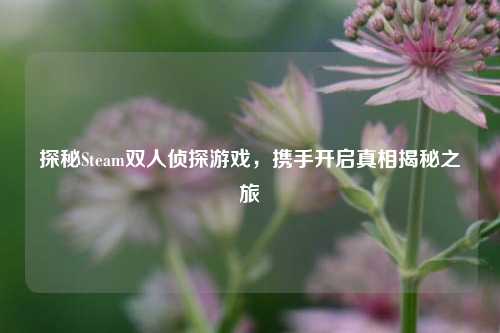 探秘Steam双人侦探游戏，携手开启真相揭秘之旅