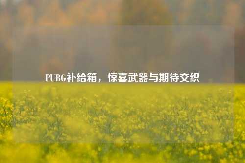 PUBG补给箱，惊喜武器与期待交织