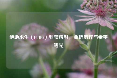 绝地求生（PUBG）封禁解封，曲折历程与希望曙光