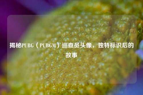 揭秘PUBG（PUBGM）巡查员头像，独特标识后的故事