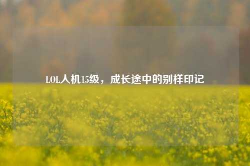 LOL人机15级,成长途中的别样印记