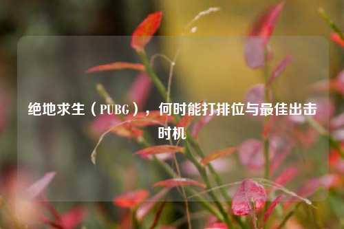 绝地求生(PUBG),何时能打排位与最佳出击时机