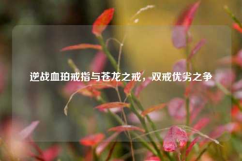 逆战血珀戒指与苍龙之戒,双戒优劣之争