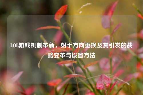 LOL游戏机制革新,射手方向更换及其引发的战略变革与设置方法