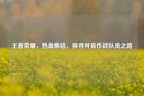 王者荣耀,热血集结,探寻并肩作战队员之路