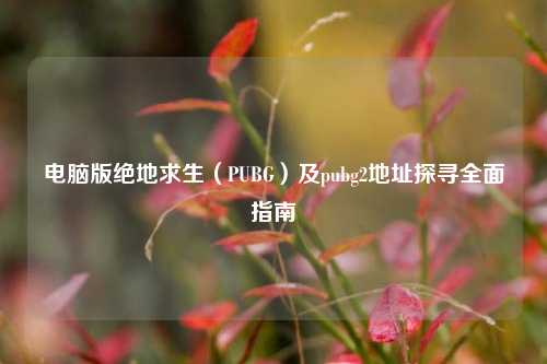 电脑版绝地求生(PUBG)及pubg2地址探寻全面指南