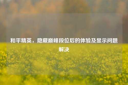 和平精英,隐藏巅峰段位后的体验及显示问题解决