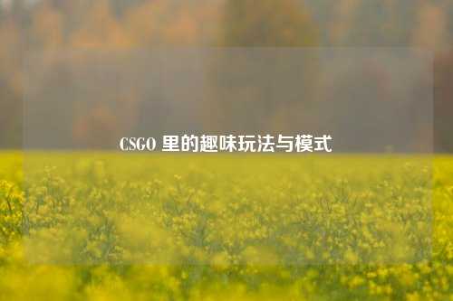 CSGO 里的趣味玩法与模式