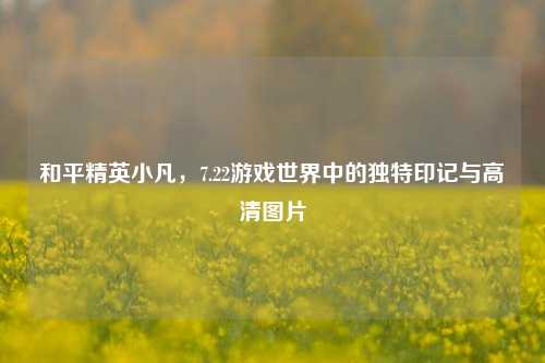 和平精英小凡,7.22游戏世界中的独特印记与高清图片