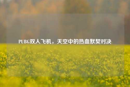 PUBG双人飞机,天空中的热血默契对决