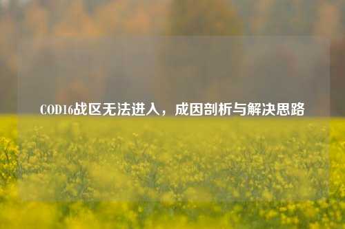 COD16战区无法进入,成因剖析与解决思路