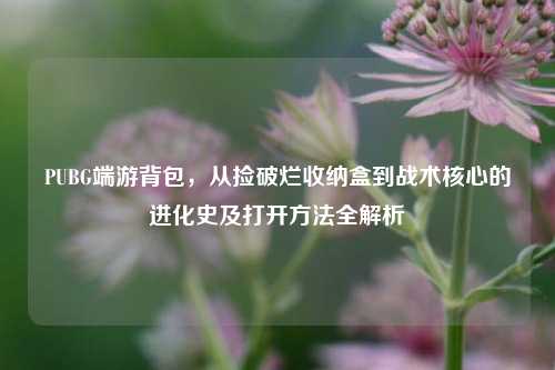 PUBG端游背包,从捡破烂收纳盒到战术核心的进化史及打开方法全解析