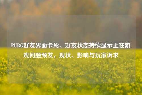 PUBG好友界面卡死、好友状态持续显示正在游戏问题频发,现状、影响与玩家诉求