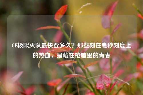 CF极限灭队最快要多久？那些刻在毫秒刻度上的热血，是藏在枪膛里的青春