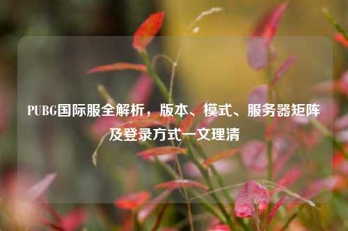 PUBG国际服全解析,版本、模式、服务器矩阵及登录方式一文理清