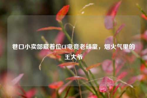 巷口小卖部藏着位CF电竞老顽童,烟火气里的王大爷
