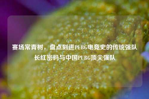 赛场常青树,盘点刻进PUBG电竞史的传统强队长红密码与中国PUBG顶尖强队