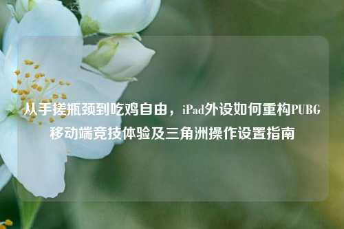 从手搓瓶颈到吃鸡自由,iPad外设如何重构PUBG移动端竞技体验及三角洲操作设置指南