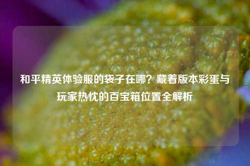 和平精英体验服的袋子在哪?藏着版本彩蛋与玩家热忱的百宝箱位置全解析