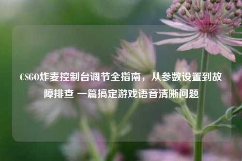 CSGO炸麦控制台调节全指南,从参数设置到故障排查 一篇搞定游戏语音清晰问题