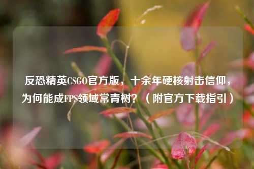 反恐精英CSGO官方版,十余年硬核射击信仰,为何能成FPS领域常青树?(附官方下载指引)