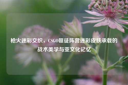 枪火迷彩交织,CSGO匪徒阵营迷彩皮肤承载的战术美学与亚文化记忆