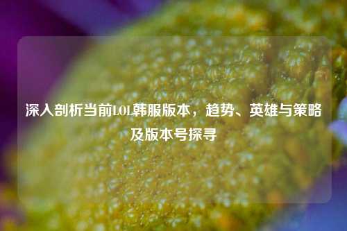 深入剖析当前LOL韩服版本,趋势、英雄与策略及版本号探寻